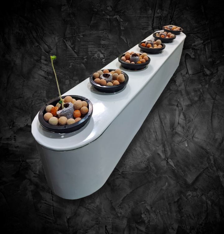 nanoFarm sensor-integrated controlled-environment growing system
