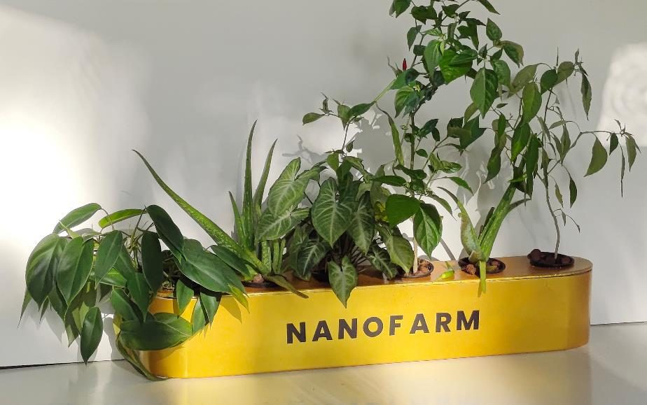 nanoFarm controlled-environment planter growing pesticide-free greens